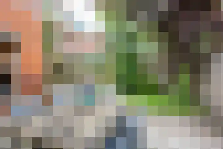 Louise Henriettestraat 13 Groningen thumbnail 34