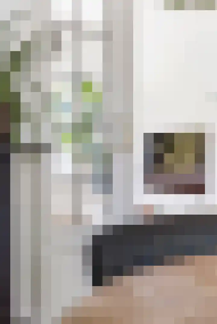 Louise Henriettestraat 15 a Groningen thumbnail 17