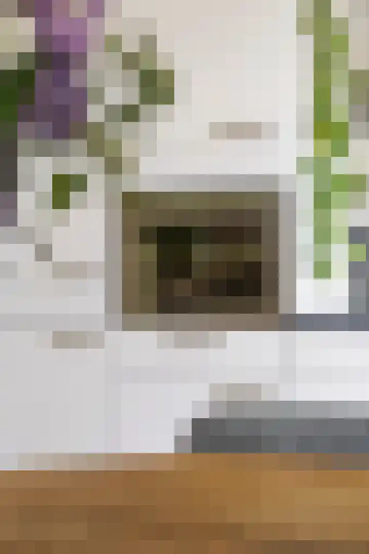 Louise Henriettestraat 15 a Groningen thumbnail 19