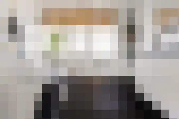 Louise Henriettestraat 15 a Groningen thumbnail 36