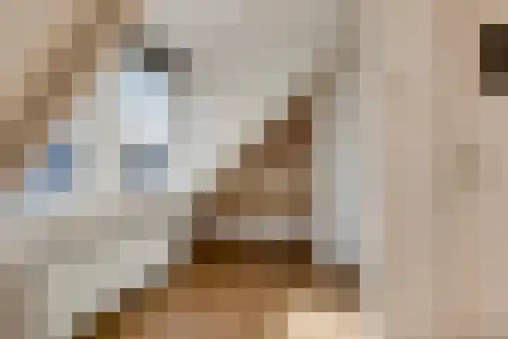 Louise Henriettestraat 18 a Groningen thumbnail 33