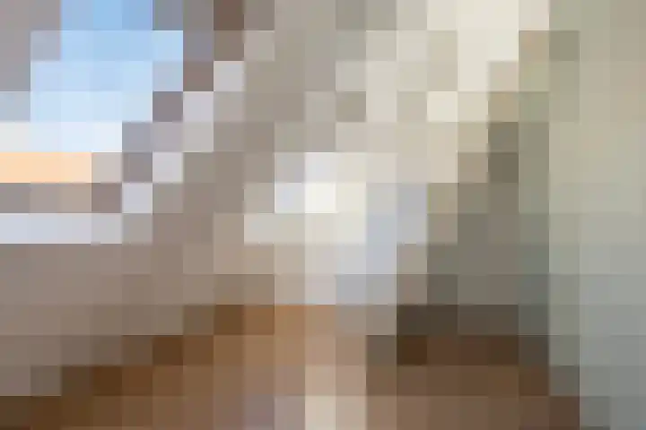 Louise Henriettestraat 18 a Groningen thumbnail 34