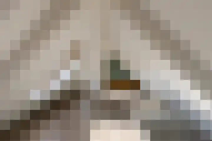 Louise Henriettestraat 18 a Groningen thumbnail 37