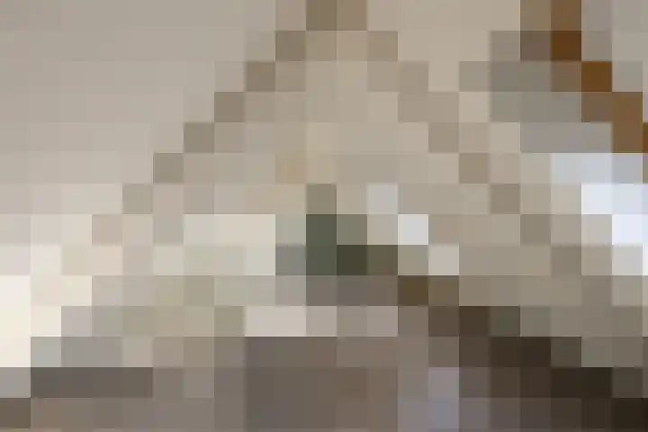Louise Henriettestraat 18 a Groningen thumbnail 38