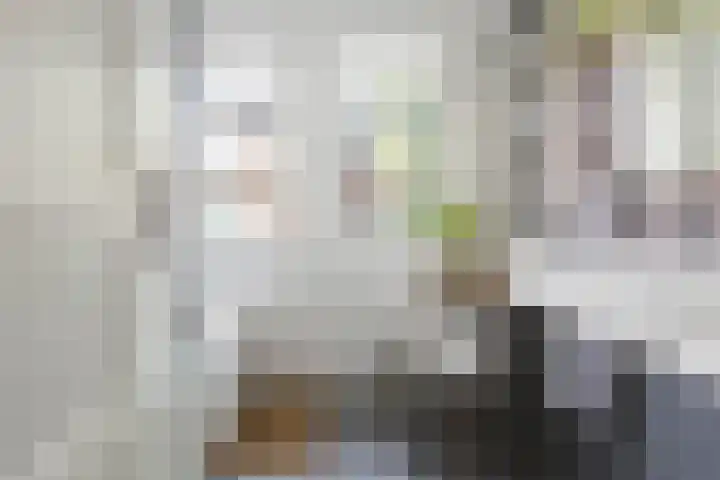 Louise Henriettestraat 25 Groningen thumbnail 22