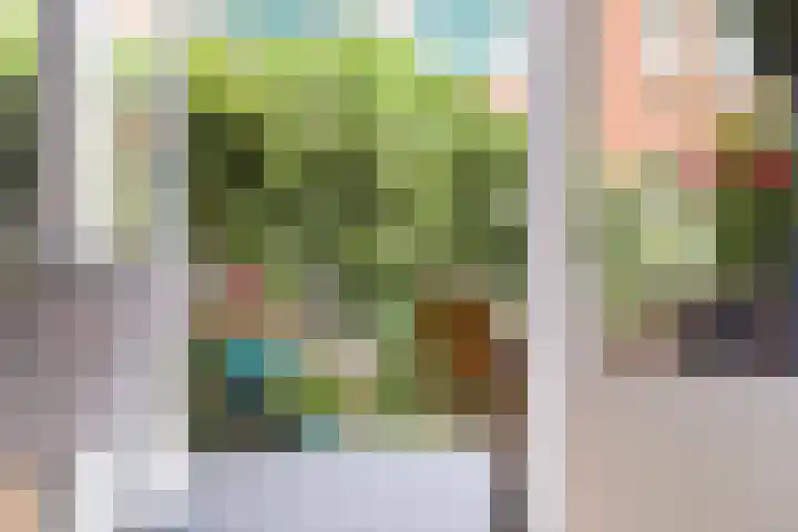 Louise Henriettestraat 25 Groningen thumbnail 27