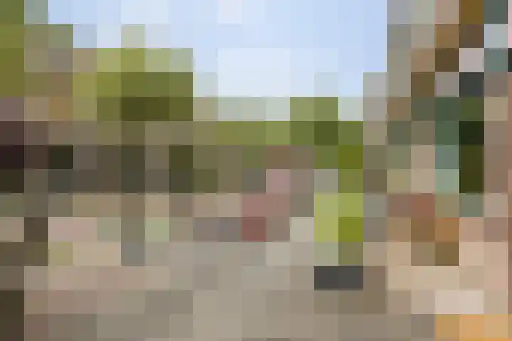 Louise Henriettestraat 25 Groningen thumbnail 31