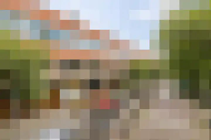 Louise Henriettestraat 25 Groningen thumbnail 33