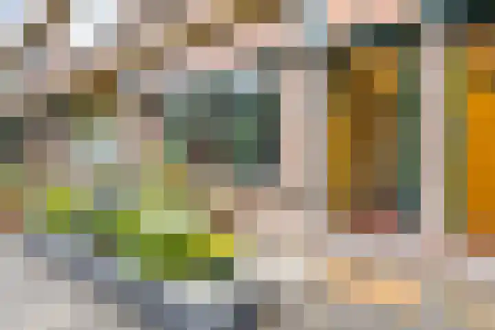 Louise Henriettestraat 25 Groningen thumbnail 4