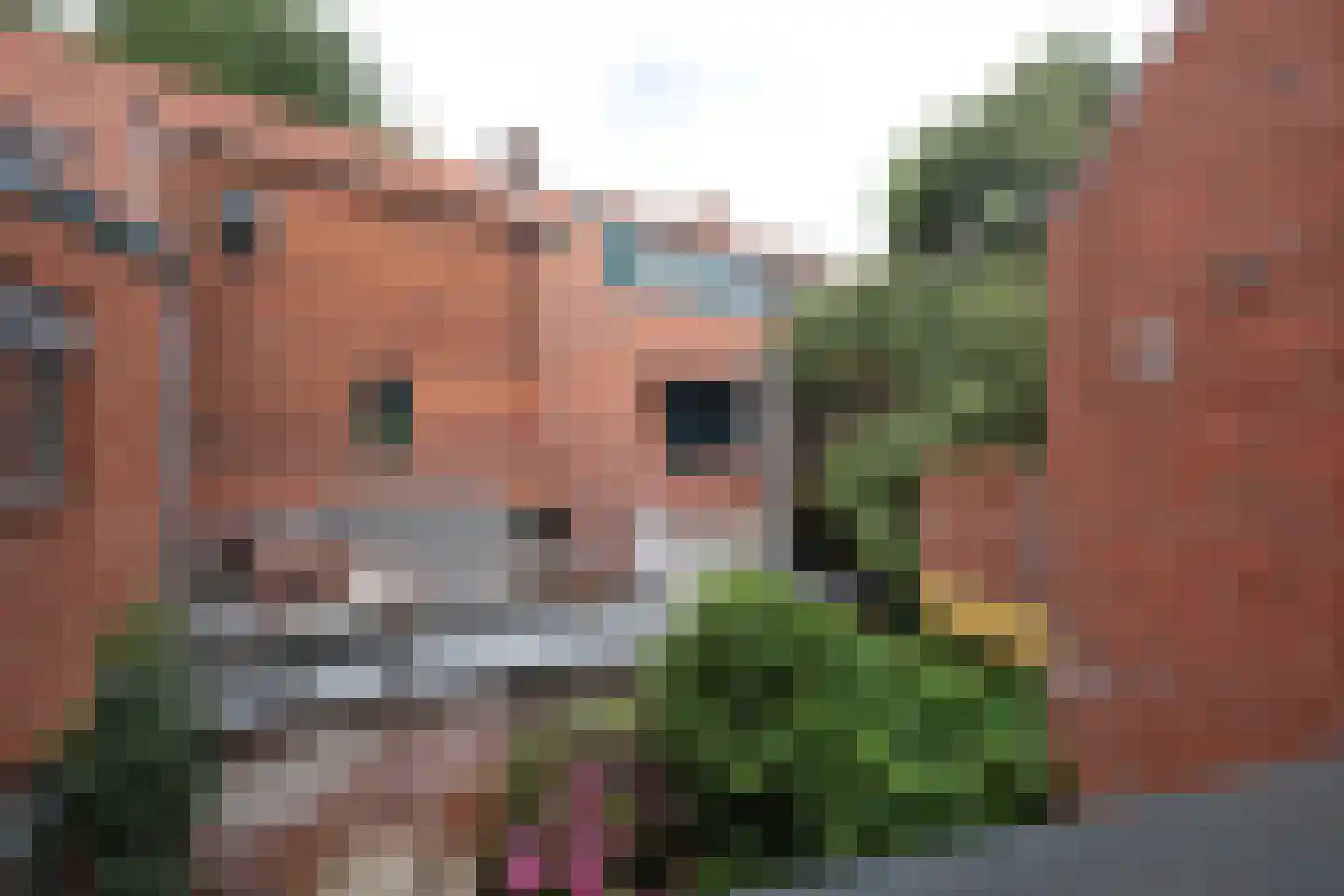 Louise Henriettestraat 33 a Groningen thumbnail 20