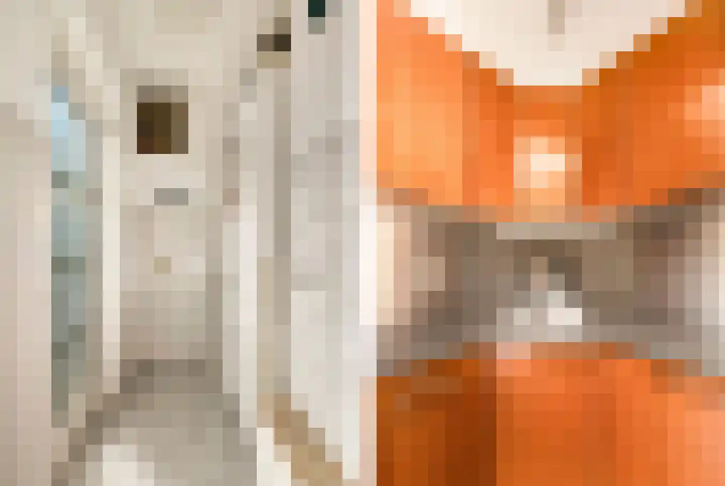Louise Henriettestraat 36 Alkmaar thumbnail 10
