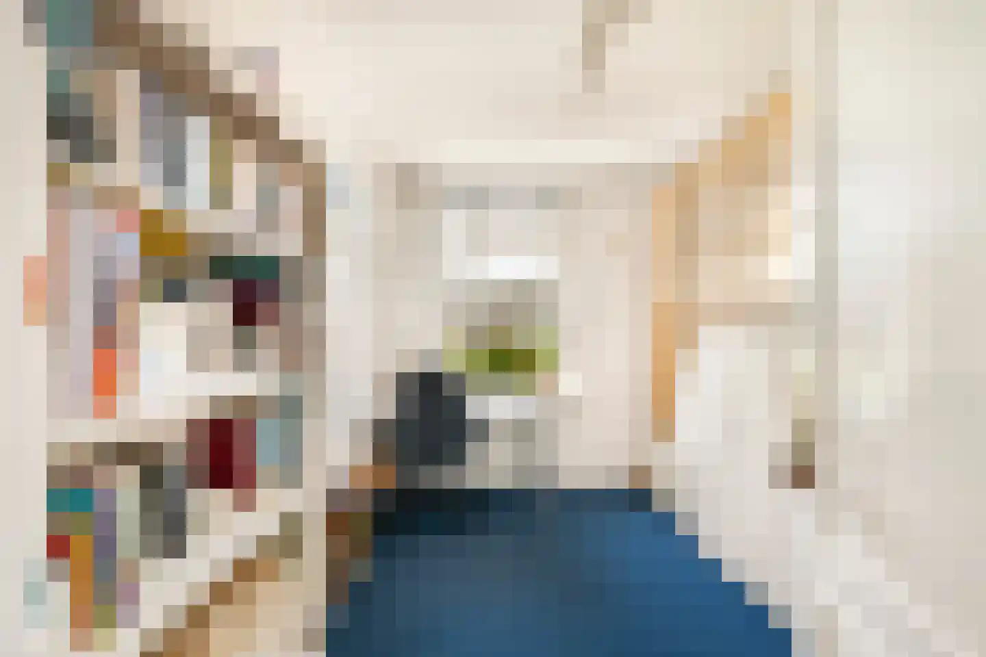 Louise Henriettestraat 36 Alkmaar thumbnail 14