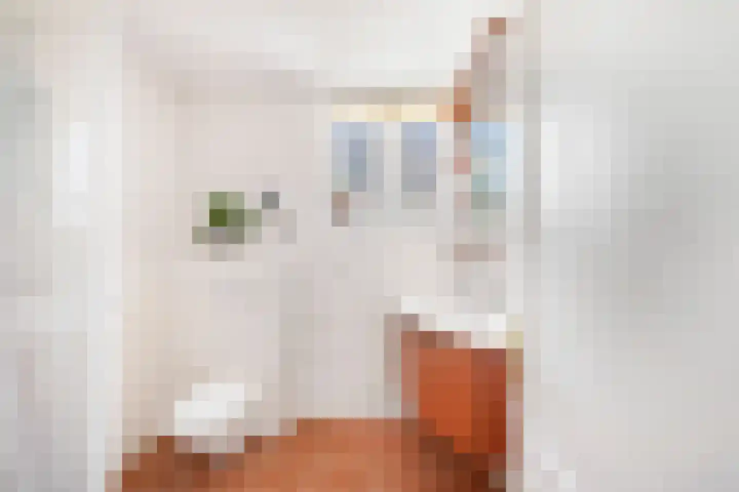 Louise Henriettestraat 36 Alkmaar thumbnail 16