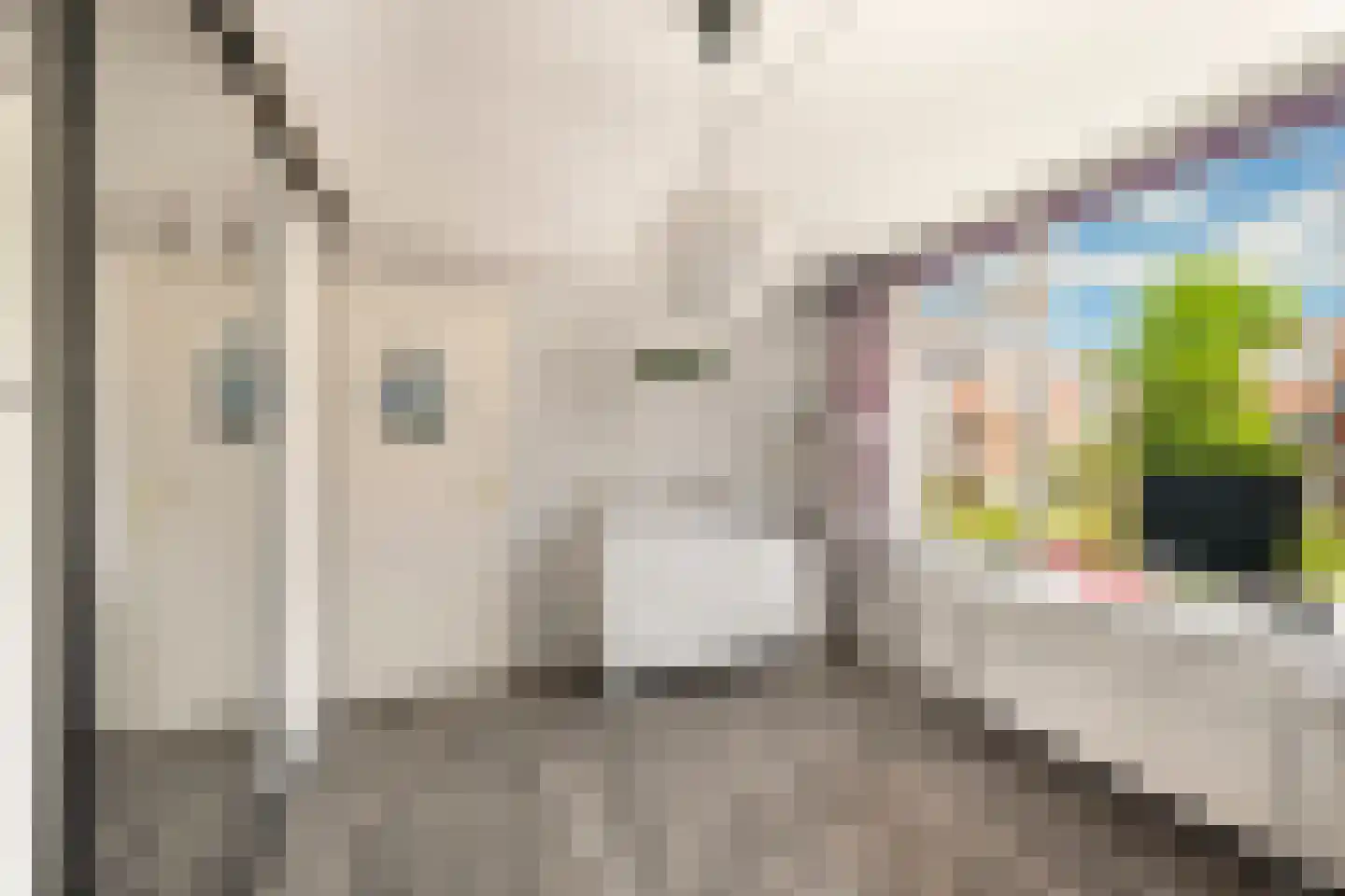 Louise Henriettestraat 36 Alkmaar thumbnail 20