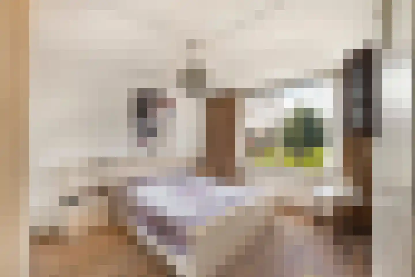 Louise Henriettestraat 36 Alkmaar thumbnail 21