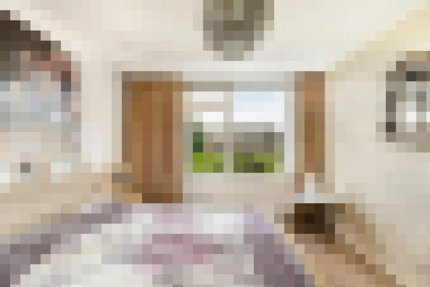 Louise Henriettestraat 36 Alkmaar thumbnail 22