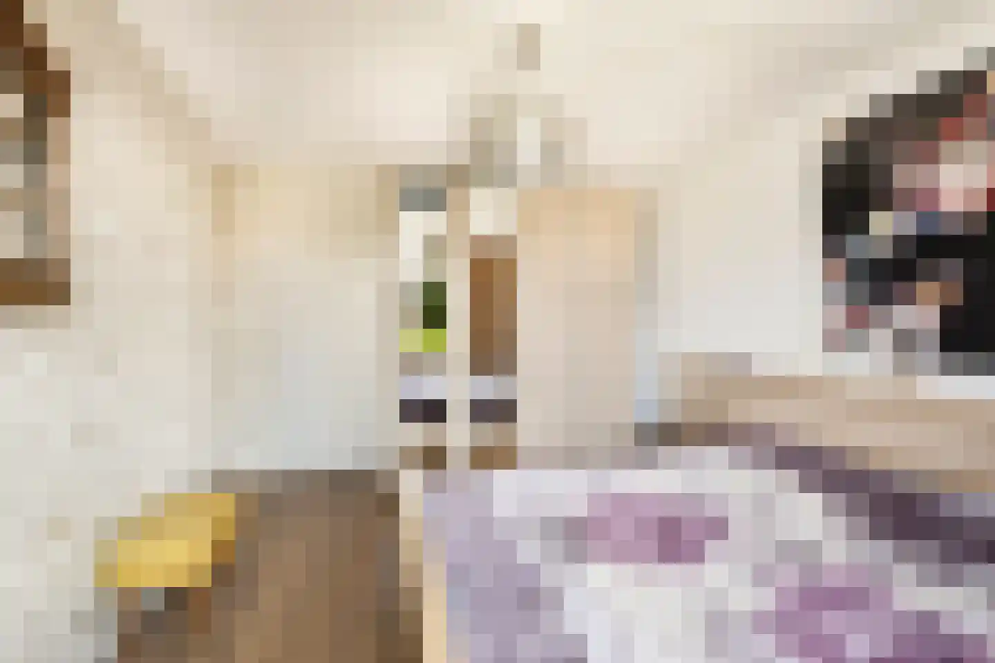 Louise Henriettestraat 36 Alkmaar thumbnail 23