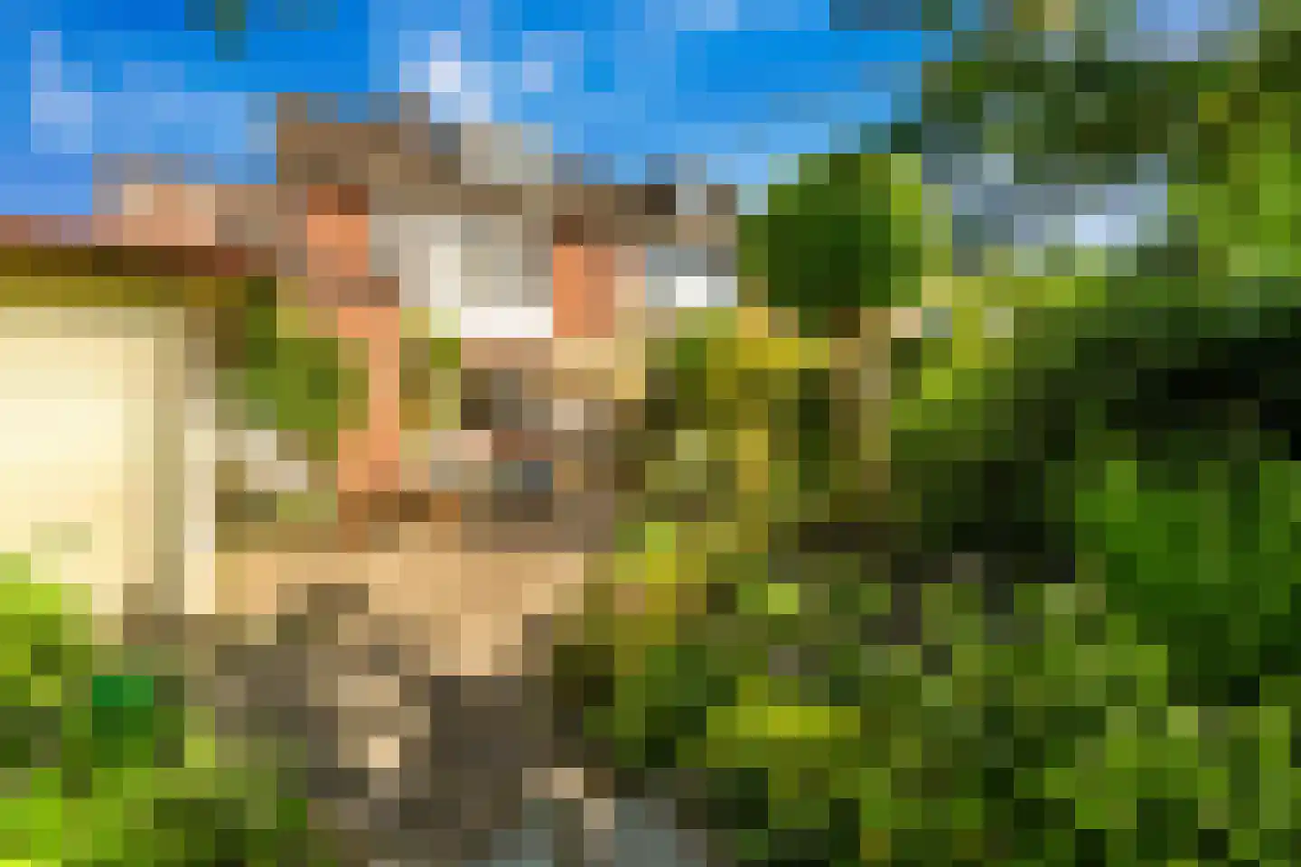 Louise Henriettestraat 36 Alkmaar thumbnail 36