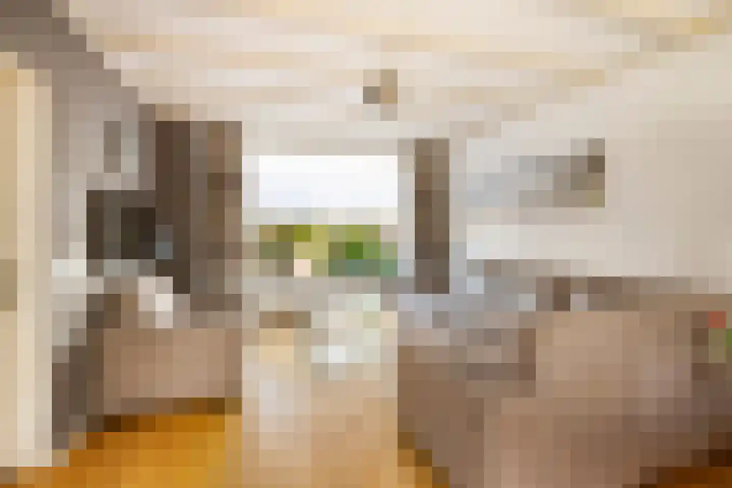 Louise Henriettestraat 36 Alkmaar thumbnail 4