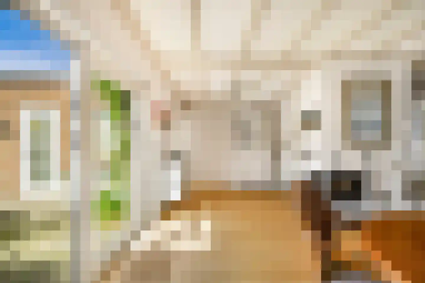 Louise Henriettestraat 36 Alkmaar thumbnail 8