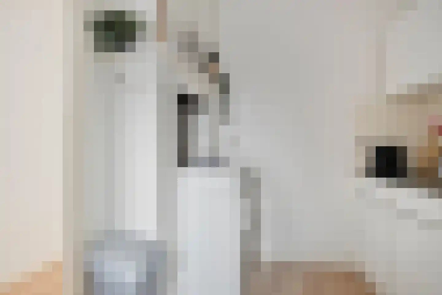 Louise Henriettestraat 37 Groningen thumbnail 18