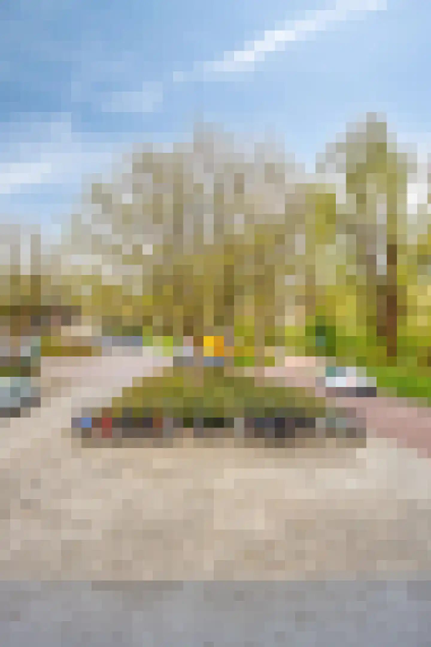 Louise Henriettestraat 37 Groningen thumbnail 29