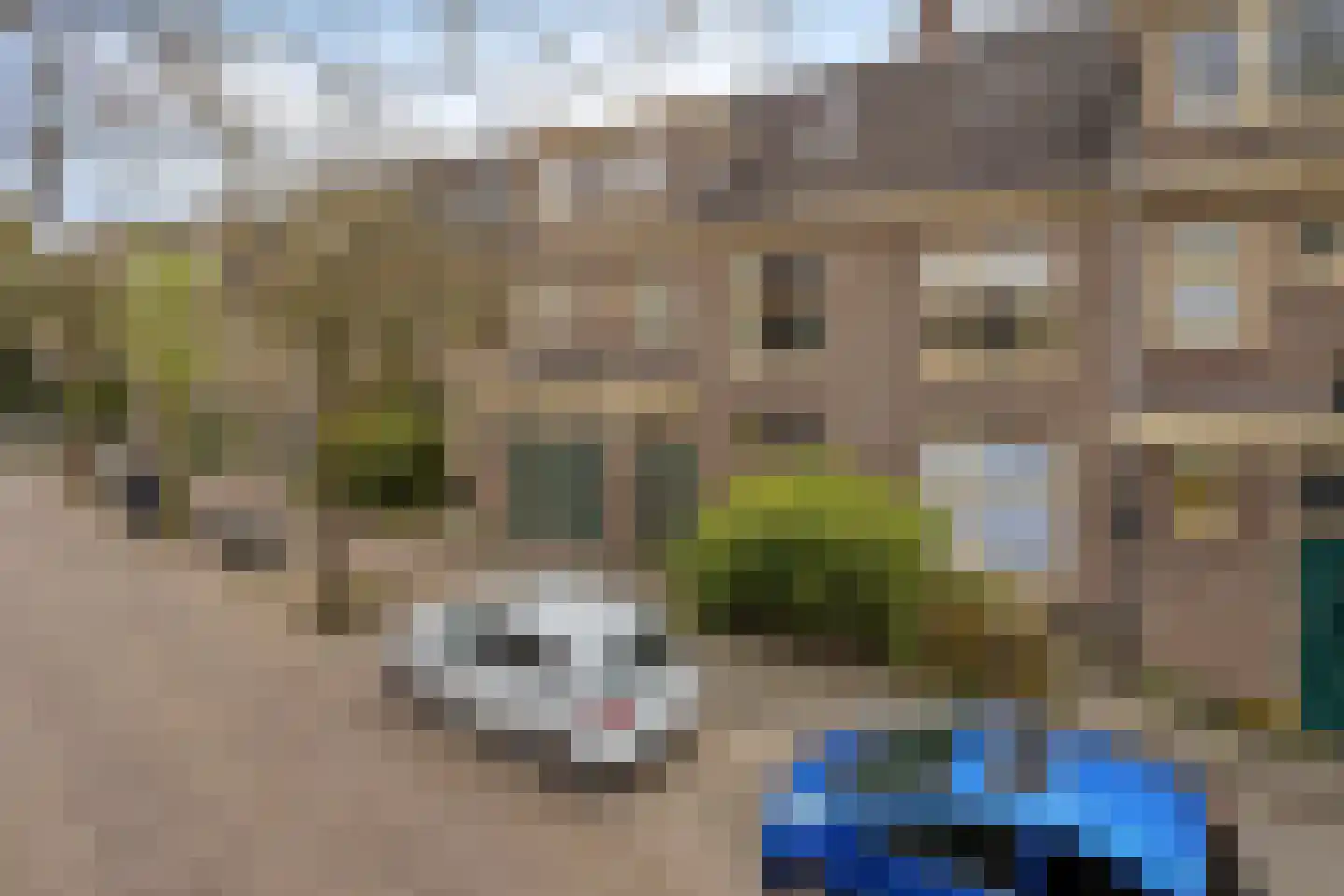 Louise Henriettestraat 38 a Groningen thumbnail 34
