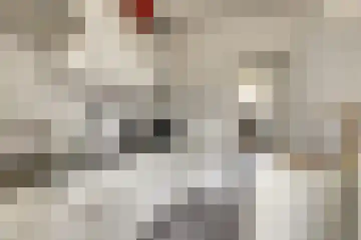 Louise Henriettestraat 44 Groningen thumbnail 12