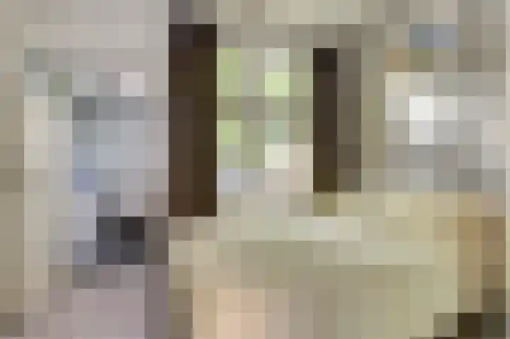 Louise Henriettestraat 44 Groningen thumbnail 15