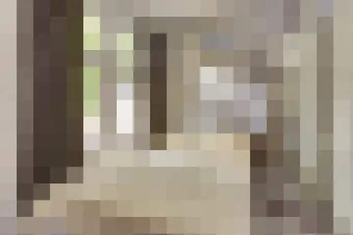 Louise Henriettestraat 44 Groningen thumbnail 16