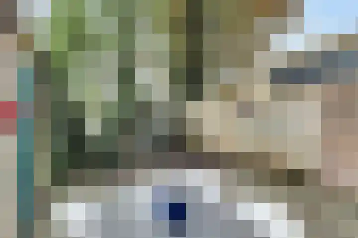 Louise Henriettestraat 44 Groningen thumbnail 20