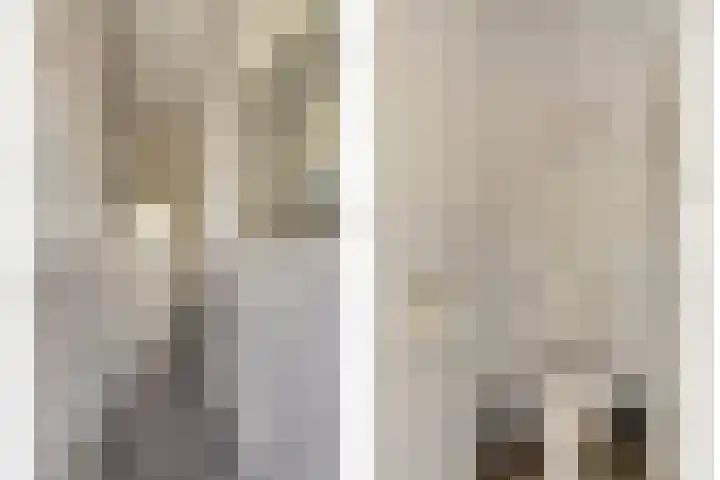 Louise Henriettestraat 44 Groningen thumbnail 4