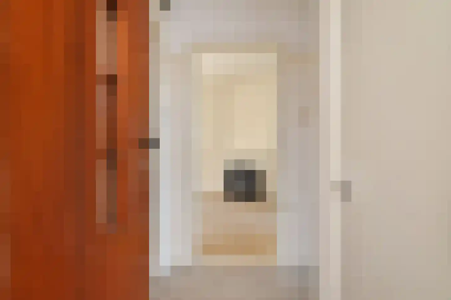 Louise Henriëttestraat 52 Den Haag thumbnail 26