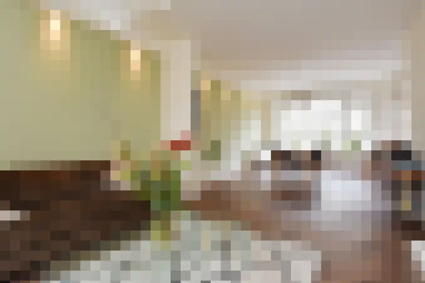 Louise Henriëttestraat 62 Den Haag thumbnail 4