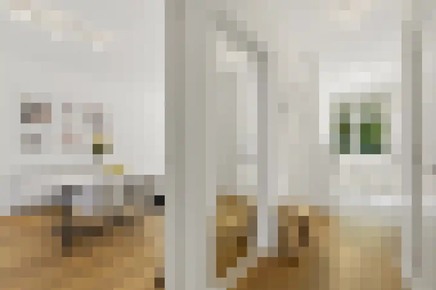 Louise Henriëttestraat 76 Den Haag thumbnail 10