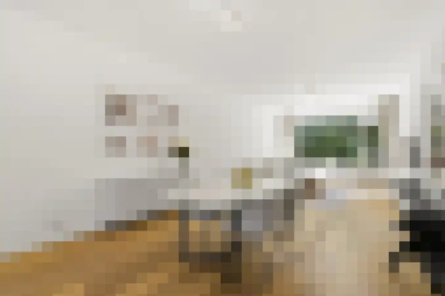 Louise Henriëttestraat 76 Den Haag thumbnail 7