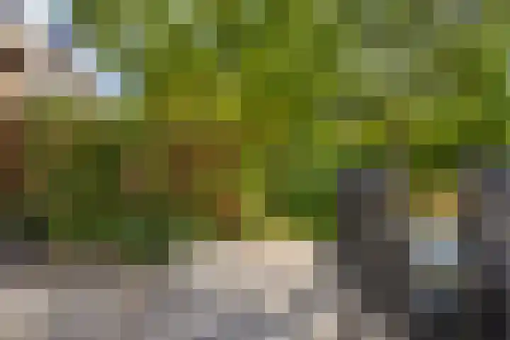 Louise Henriettestraat 8 Groningen thumbnail 27