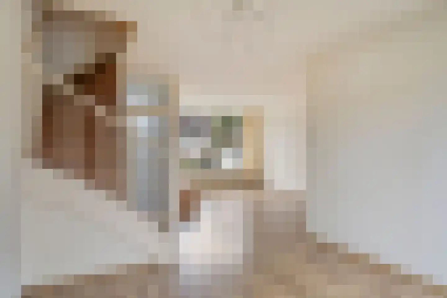 Louise Julianalaan 23 Ravenstein thumbnail 12