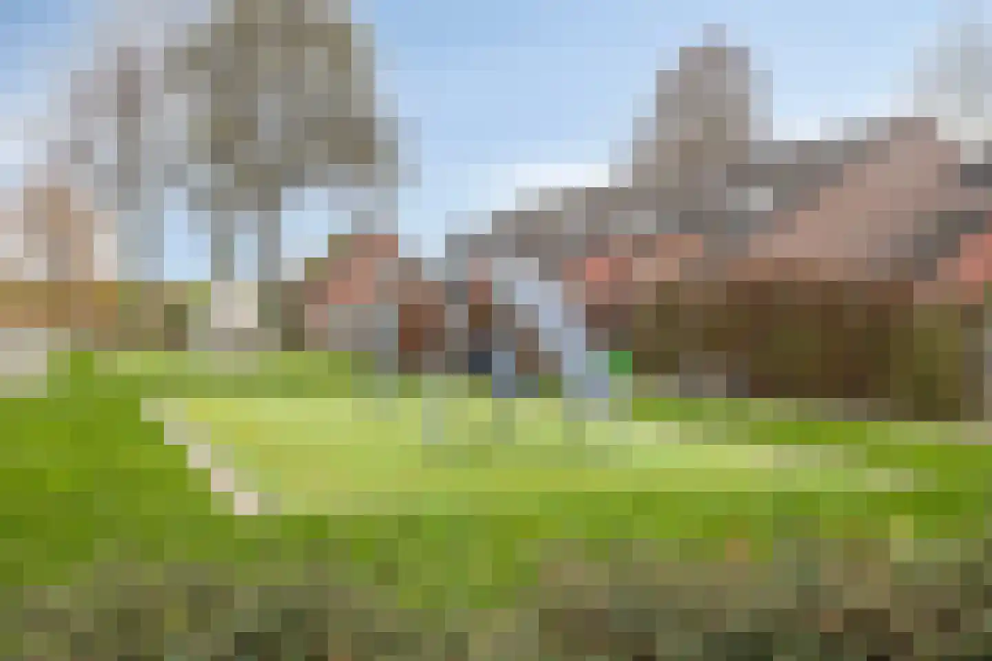 Louise Julianalaan 23 Ravenstein thumbnail 27
