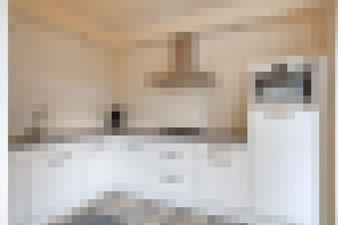 Louise Julianalaan 23 Ravenstein thumbnail 6