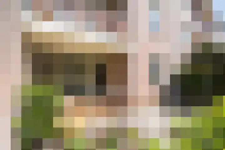 Louise Kerlinghof 6 Utrecht thumbnail 43