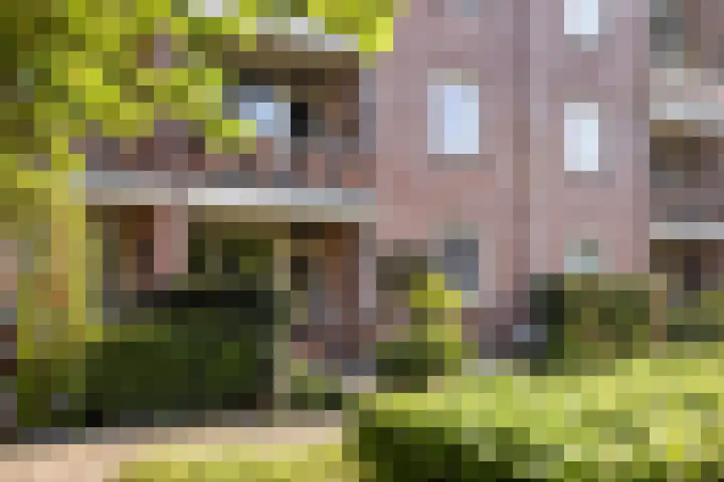 Louise Kerlinghof 8 Utrecht foto 3