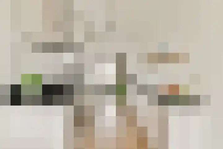 Louise Marie Loeberplantsoen 100 Amsterdam thumbnail 4