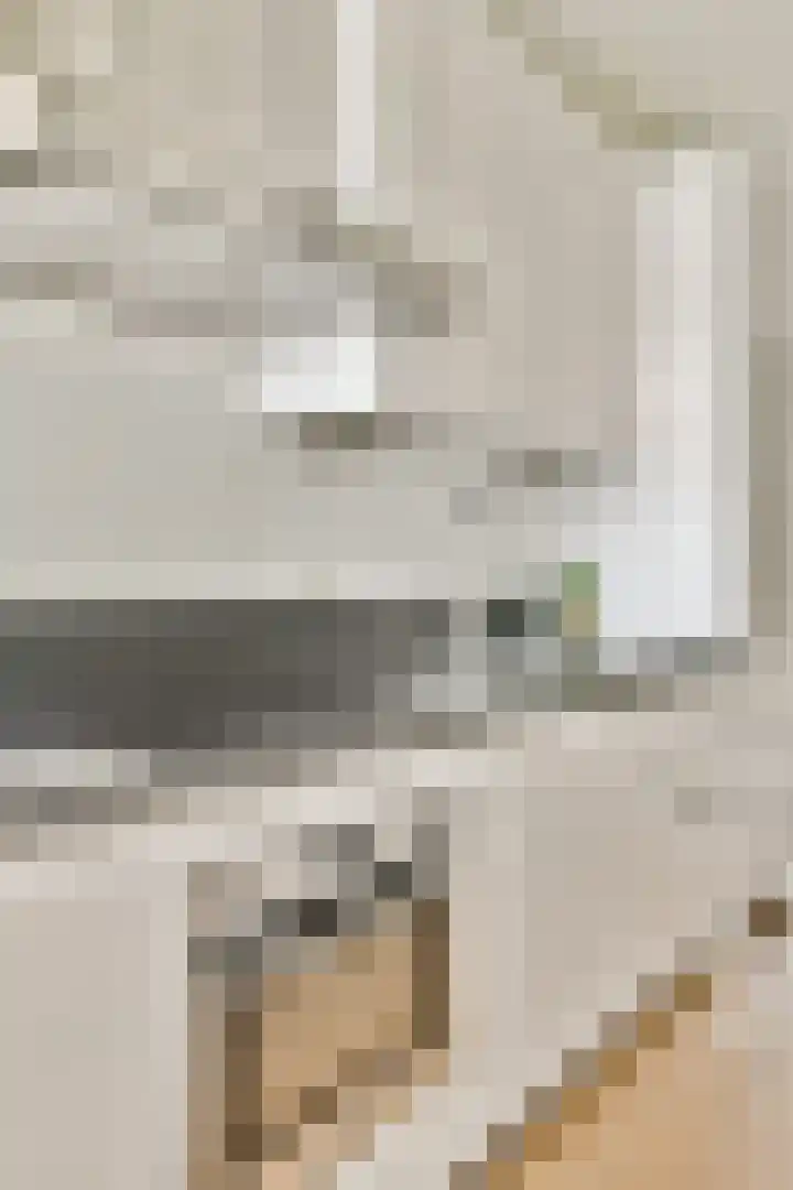 Louise Marie Loeberplantsoen 100 Amsterdam thumbnail 5