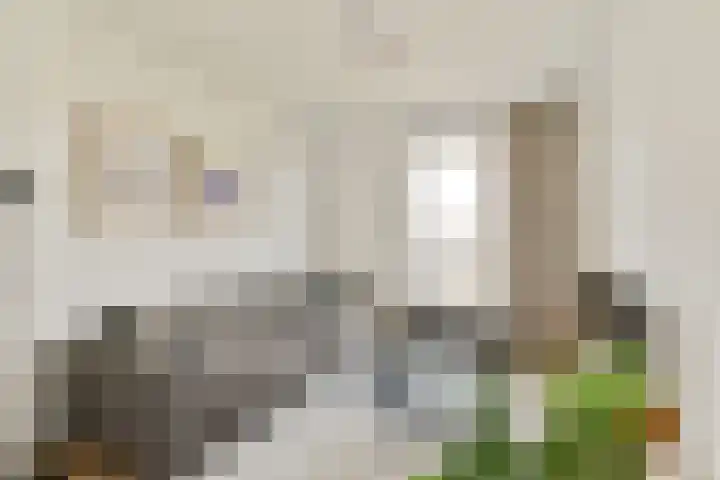 Louise Marie Loeberplantsoen 100 Amsterdam thumbnail 6