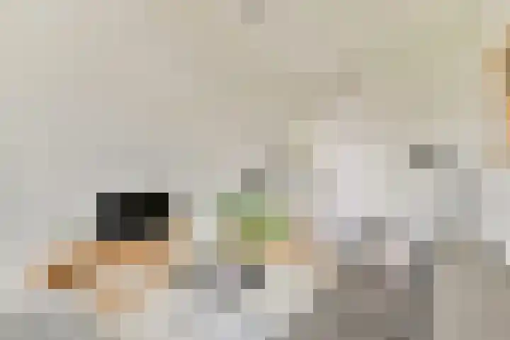 Louise Marie Loeberplantsoen 100 Amsterdam thumbnail 8