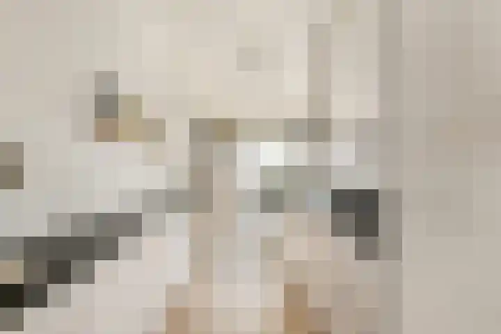Louise Marie Loeberplantsoen 100 Amsterdam thumbnail 9