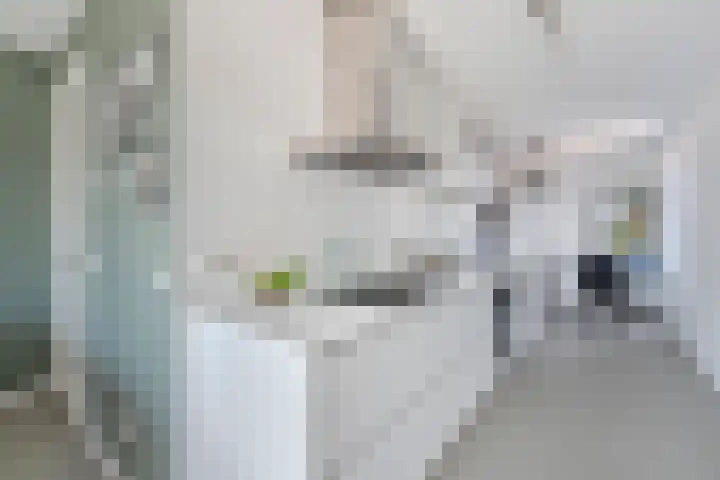 Louise Marie Loeberplantsoen 86 Amsterdam thumbnail 10