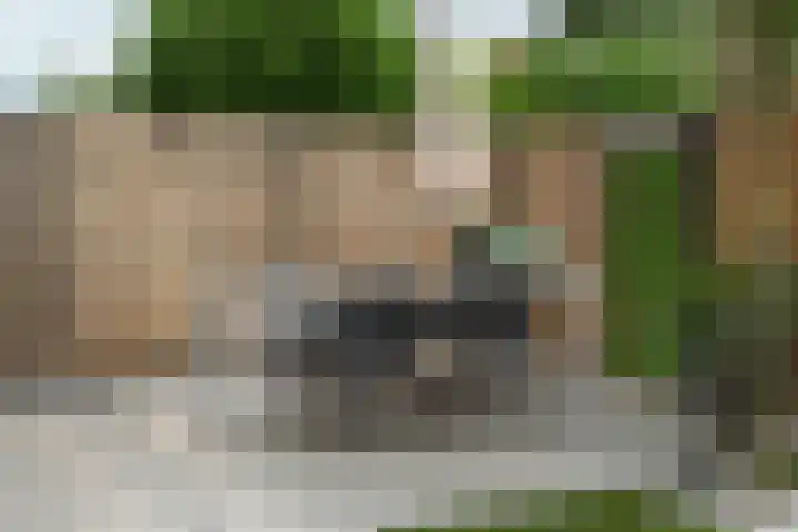Louise Michelstraat 1 Arnhem thumbnail 38
