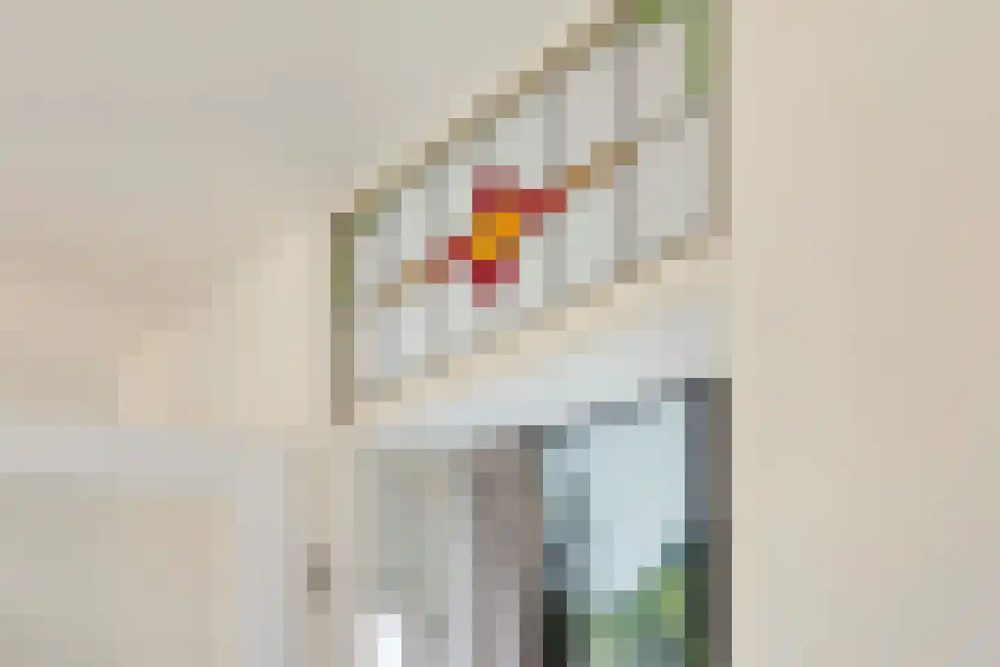 Louise Michelstraat 5 Arnhem thumbnail 16